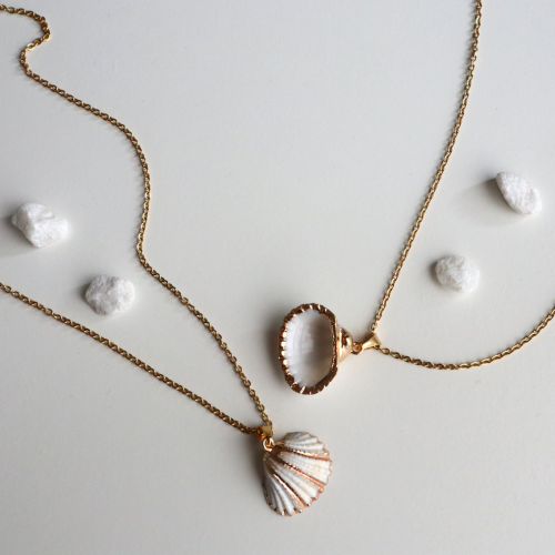 collar concha blanca